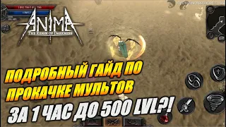 Как быстро качнуть мульта до 500 ур?! За 1 час до 500!. Anima ARPG.