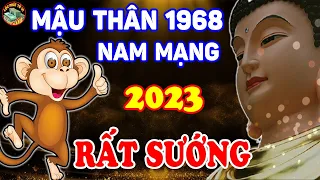 Sang Năm 2023 Mậu Thân 1968 Nam Mạng, Làm Đâu Thắng Đó, Tiền Tiêu Cả Năm Không Hết | LPTV