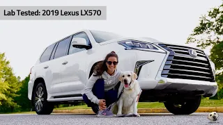 2019 Lexus LX570: Andie the Lab Review!