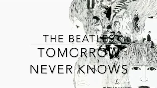 The Beatles-Tomorrow Never Knows Tape Loops Sampler