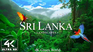 Sri Lanka 4K - Journey Through Lush Landscapes and Rich Cultural Heritage With Piano Music