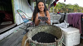 WE HARVEST AÇAI DIRECT FROM THE FOOT AND MAKE WINE/ JUICE IN AMAZONAS
