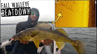 How to Catch BIG Fall Walleyes in SHALLOW Water!