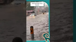 SINGAPORE flash floods 29/11/2023 #flood #flashflood #singapore