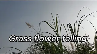 Grass flower felling