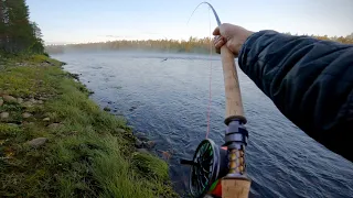 My Go-to Salmon Fly Next Time There Will Be Fog - Catch & Tie