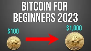 2023 Bitcoin Investment: Risks and Opportunities | Brief Summary