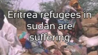 Eritrean refugees in sudan are suffering