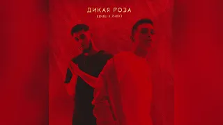 Keneli & Zhiro - Дикая роза