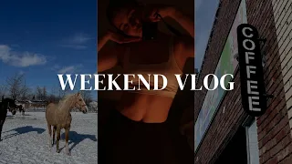 weekend vlog: riding a horse, grocery haul + more