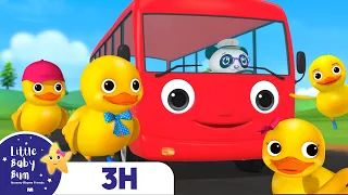 Ducks Hop on the Bus! | Little Baby Bum | 🚌Wheels on the BUS Songs! | 🚌Nursery Rhymes for Kids