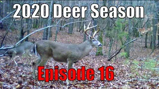 Alabama Rut Hunt: Self-Filmed Bowhunting. Bucks Cruising and Chasing. Late Season Deer Hunting