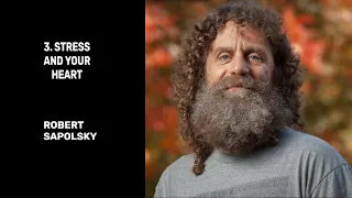 3. Stress and Your Heart - Robert Sapolsky