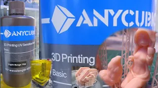 Anycubic basic photopolymer resin review (3D printing)