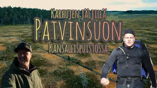 Patikkareissu Patvinsuon Kansallispuistossa | Karhujen jäljillä 40km Patvinkierrolla