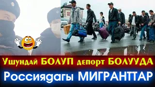 УШУНДАЙ деп Мигранттарды ПОЛИЦИЯлар ДЕПОРТ кылып ЖАТАТ дейт Россиядагы МЕКЕНДЕШТЕР #ЭлдикВидеоКабар