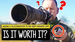Using a 1.4x Teleconverter with the Sony 200-600mm for Wildlife Photography: Is it worth it?
