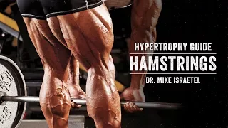 Hypertrophy Guide | Hamstrings | JTSstrength.com