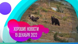 Хорошие новости: 19 декабря 2022 года