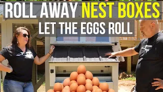 Roll Away Nest Box : Does It Work?