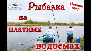 Рыбалка на платниках. Прямой эфир!