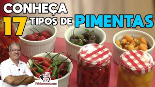 Conheça 17 Tipos de Pimentas - TUDO SOBRE PIMENTAS - Tv Churrasco