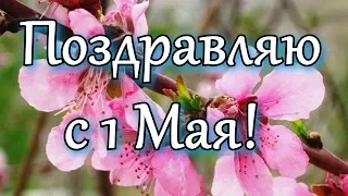 С 1 МАЯ! Поздравительная Открытка с 1 Мая!