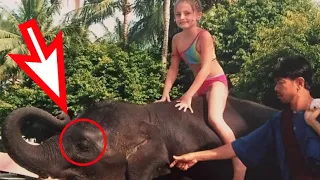 Девочка тонула во время сильнейшего цунами.. Её чудом спас друг-слонёнок!