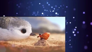 Piper Short animation film فلم الانيميشن القصير