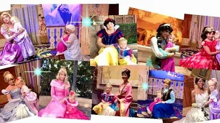 *EVERY* DISNEY PRINCESS AT DISNEY WORLD!