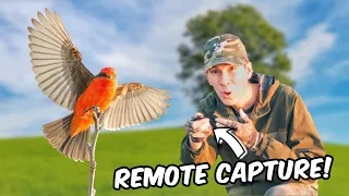 Wildlife Photography Magic w/ a Remote