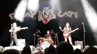 MESSER CHUPS feat. Zombierella - Stray Cats 40th Anniversary - live at Zenith in Munich Germany 2019