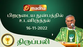 🔴 LIVE 16 November 2022 Holy Mass in Tamil 06:00 PM (Evening Mass) | Madha TV