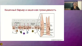 Достижения и перспективы современной гастроэнтерологии» – Ивашкин Владимир Трофимович