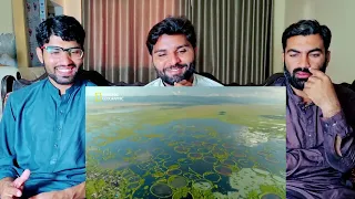 A Floating School_ _ India from Above _ National Geographic| PAKISTAN REACTION