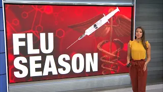 Health officials: New Yorkers should get flu shot as case count rises