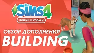 Обзор дополнения «The Sims 4 Кошки и собаки» | Режим строительства