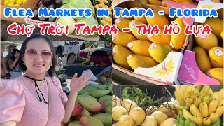 Travel Tampa Florida - Explore the the largest farm and flea market in the Tampa Florida area
