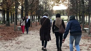 Snake prank in Paris