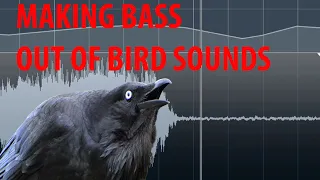 Making Bass out of Bird Sounds! F r e e Sample pack in description - Dubstep/Drum and Bass