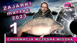 Zajarki Chorwacja - marzec 2023 - vol 1