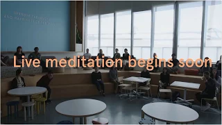 Meditate Live with Headspace: May 16th