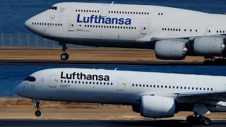 Lufthansa A359 B748 Takeoff from Tokyo Haneda 34R | A350-900 | 747-8 | D-AIXC | D-ABYD | HND