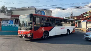 Buses de Alajuela