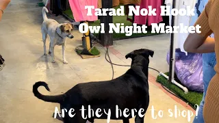 Owl Night Market, Huge market, great food, cheap prices! Bangkok/Nonthaburi