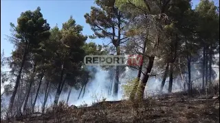 Report TV -Shqipëria në "flakë", disa vatra aktive zjarri në vend (Pamjet)