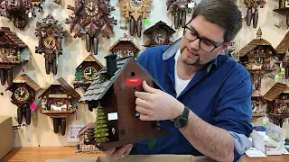 Cuckoo clock unpacking it right - how to hang it up and set the time