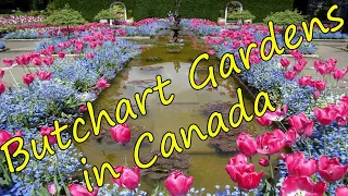 Butchart Gardens in Canada