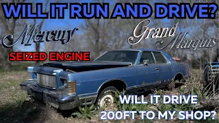 FORGOTTEN 1977 Mercury Grand Marquis - Will it RUN and DRIVE 200ft? - PARKED for 10+ YEARS!