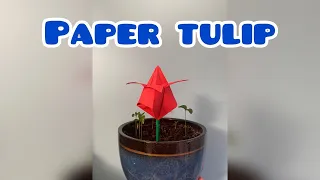 How to make a paper tulip with your own hands   Origami flower | paper tulip